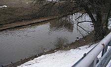 Kanał Bródnowski: nie rzucim ziemi!