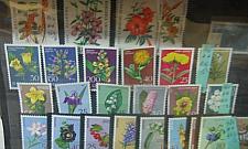 Inni robią pieniądze, ja zbieram znaczki