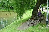 Bielany wspierają organizacje pozarządowe