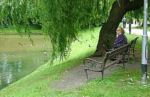 Bielany wspierają organizacje pozarządowe