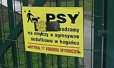 Każą sprzątać, a gdzie kosze?