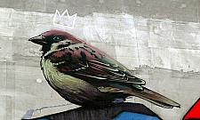 Niecodzienny mural na Dzielnej