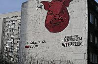 �ciana pod czerwonym wieprzem