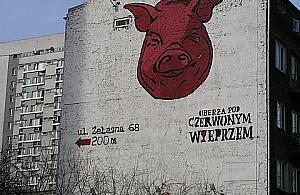 Ściana pod czerwonym wieprzem