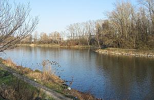 Utopił się w Kanale Żerańskim