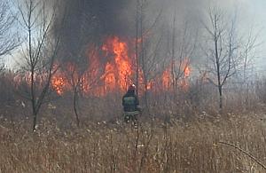 Dym nad Tarchominem. Spłonęły trawy nad Wisłą