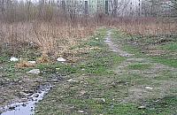 Sportowa aleja na Pełczyńskiego