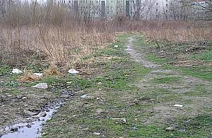 Sportowa aleja na Pełczyńskiego