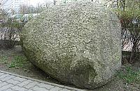 Nowe pomniki przyrody na Bemowie