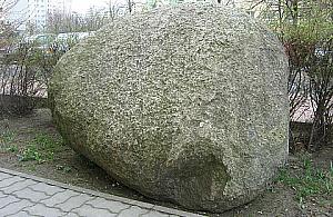 Nowe pomniki przyrody na Bemowie