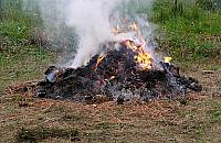 Działkowcy palą i dymią na potęgę