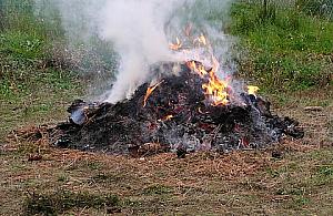 Działkowcy palą i dymią na potęgę