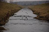 Partnerstwo gmin. Wielkie plany dla doliny rzeki Długiej