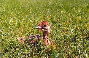 Majowy weekend - jedziemy za miasto!