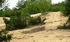 Nowe atrakcje w Puszczy Kampinoskiej