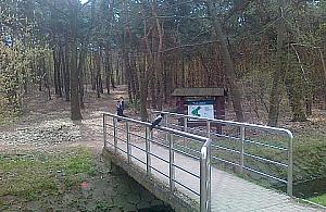 Las Lindego to nie miejsce na grill?