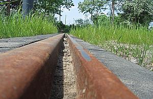 Tramwaj na Tarchomin - decyzja środowiskowa jeszcze w maju?