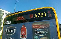 Mieszkańcy: pętla dla 114 przy cmentarzu Północnym