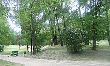 Blogerka projektuje bielańskie parki