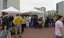 Ekologiczni: za darmo, to stoję