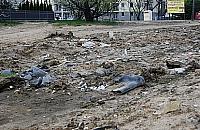 Strumykowa: po budowie został śmietnik