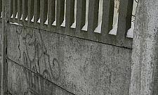 Zostań malarzem napłotnym!