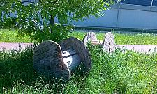 Kto sprzątnie bałagan przy Trasie?