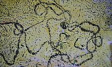 Lubisz malować? Możesz także w Legionowie!