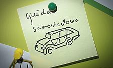 Jelonki najaktywniej wspominają stare dzieje