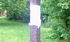 Będzie akcja zrywania plakatów na Młocinach