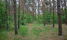 Wawer: sprawdź miejsca na aktywny odpoczynek