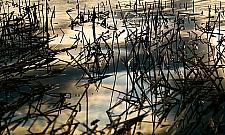 Wystawa na półwiecze Zalewu Zegrzyńskiego