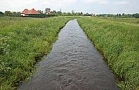 Mała rzeka - duży problem Białołęki