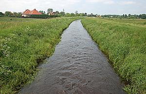 Mała rzeka - duży problem Białołęki