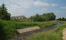 Mała rzeka - duży problem Białołęki