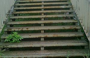 PKP Żerań, Toruńska, Praga - niedostępne dla niepełnosprawnych