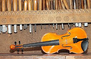 Czarodziejskie skrzypce z Międzylesia