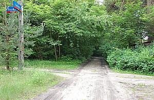 Garncarska: ludzie przegrywają z naturą