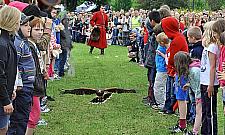 10 tys. widzów oglądało turniej w parku