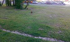 Górczewska - Powstańców: będzie mały park