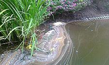 Mieszkańcy alarmują: sypią się Stawy Brustmana