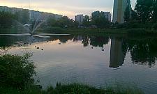 Mieszkańcy alarmują: sypią się Stawy Brustmana