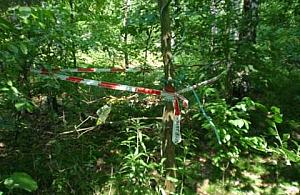 Stary granat w lesie na Chlubnej