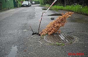 Kreatywne oznakowanie dziury na Zaciszu