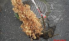 Kreatywne oznakowanie dziury na Zaciszu