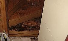 Powódź na Newtona. Lekceważą mnie już 20 lat!