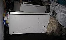 Powódź na Newtona. Lekceważą mnie już 20 lat!