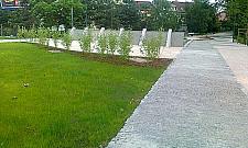 Sypnie skwerami wzdłuż kanału, Targówek wypięknieje?