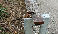 Ta topola może runąć na plac zabaw!