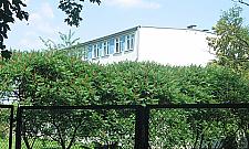 Sąd, szpital i osiedle na terenie po dywizji